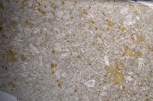 Plane Polarized, E67949