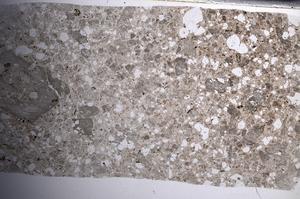 Plane Polarized, E67954