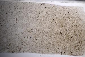 Plane Polarized, E67972