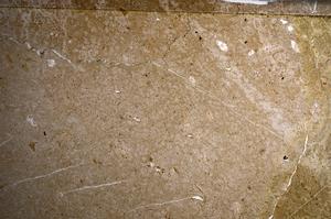 Plane Polarized, E67986