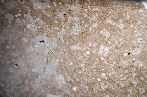 Plane Polarized, E67997