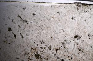 Plane Polarized, E68027