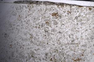 Plane Polarized, E68028