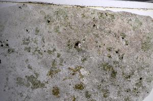 Plane Polarized, E68032