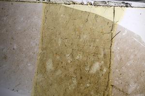 Plane Polarized, E68044