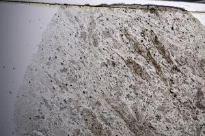 Plane Polarized, E68072