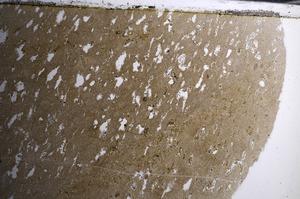 Plane Polarized, E68077