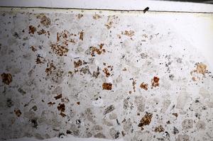 Plane Polarized, E68091