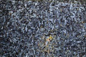 Cross Polarized, E68113