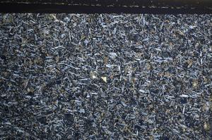 Cross Polarized, E68127