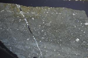 Cross Polarized, E68160