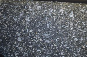 Cross Polarized, E68163