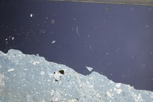 Cross Polarized, E68195