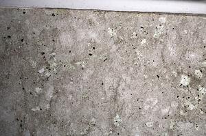 Plane Polarized, E68214