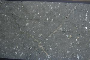 Cross Polarized, E68225