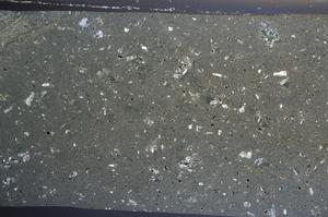 Cross Polarized, E68228