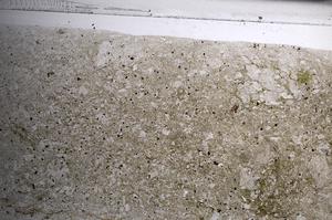 Plane Polarized, E68252