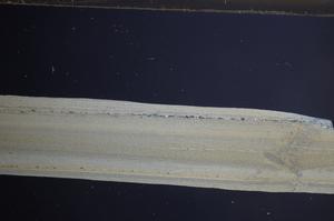 Cross Polarized, E68285