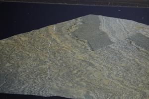 Cross Polarized, E68287