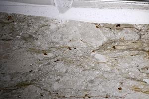 Plane Polarized, E68335