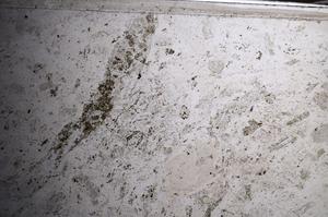 Plane Polarized, E68347