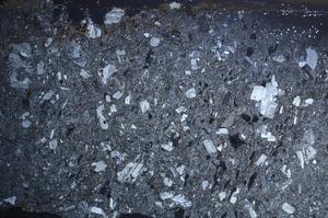 Cross Polarized, E68356