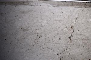 Plane Polarized, E68394