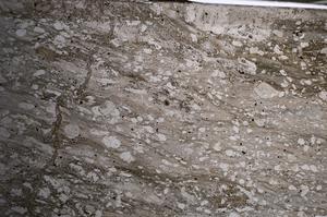 Plane Polarized, E68408