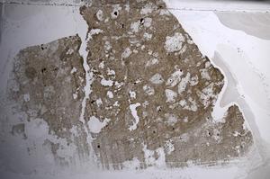 Plane Polarized, E68414