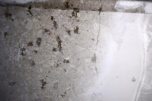 Plane Polarized, E68447