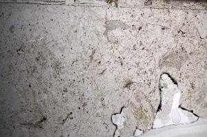 Plane Polarized, E68463