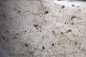 Plane Polarized, E68469