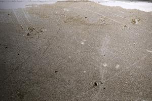 Plane Polarized, E68494