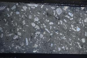 Cross Polarized, E68501