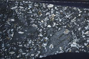 Cross Polarized, E68506