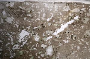 Plane Polarized, E68510