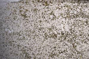 Plane Polarized, E68516