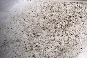 Plane Polarized, E68517