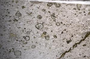 Plane Polarized, E68526