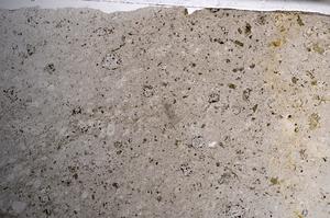 Plane Polarized, E68527