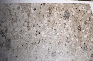 Plane Polarized, E68551