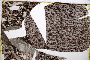 Plane Polarized, E20645