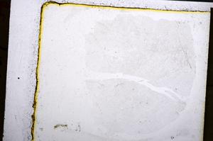 Plane Polarized, E20657/B