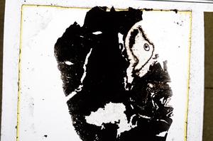 Plane Polarized, E20660