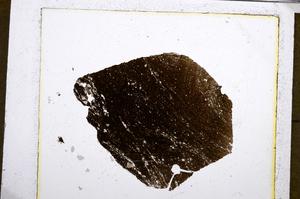 Plane Polarized, E20661