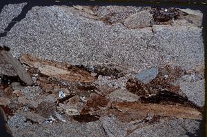 Cross Polarized, E20681