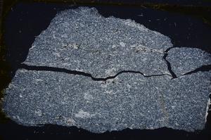 Cross Polarized, E20687