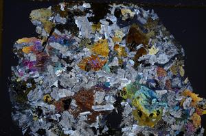 Cross Polarized, E26213