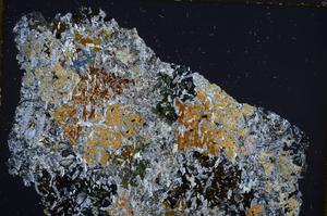 Cross Polarized, E26215