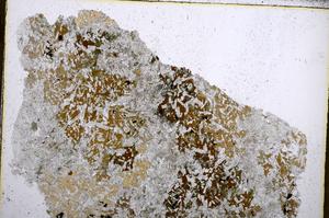 Plane Polarized, E26215